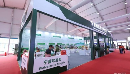 聚宁夏优品 融精彩链博 宁夏组团参加第三届中国国际供应链促进博览会