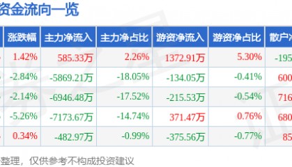 股票行情快报：思特奇（300608）8月15日主力资金净买入585.33万元
