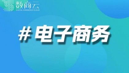 垂直电商和平台电商的区别
