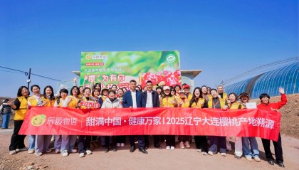 资讯|甜满中国•大连站｜“红宝石”的致富经