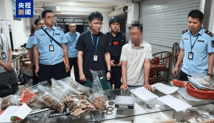 央视曝光后，广东电白连夜行动，对5家企业立案调查