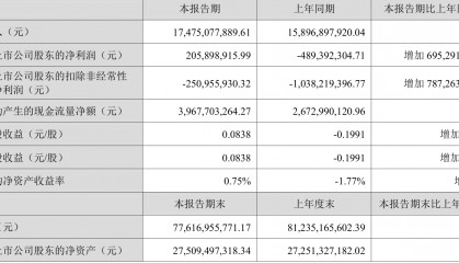 深天马A：2025年上半年盈利2.06亿元 同比扭亏