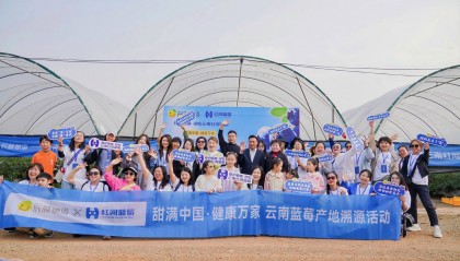 资讯||甜满中国·云南站|探寻“蓝果果”的鲜甜奥秘