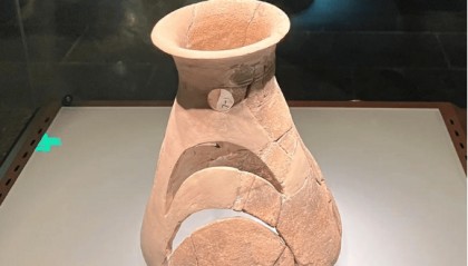 医学法律的最新动态