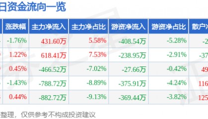 股票行情快报：海鸥股份（603269）6月13日主力资金净买入431.60万元