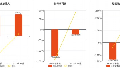 美迪西(688202.SH)：2025年中报净利润为-1289.84万元
