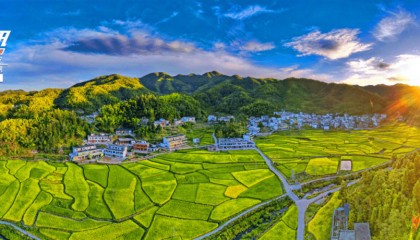 【4月21日】湖南自然资源7点资讯