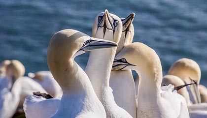 【喜报】新春“开门红”!建艺集团和中建八局联合体、建艺集团旗下子公司建星集团相继...