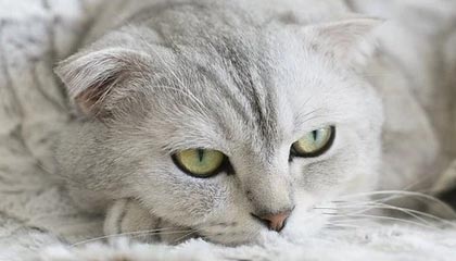 深圳市建艺装饰集团股份有限公司 关于公司股票可能被终止上市的风险提示公告