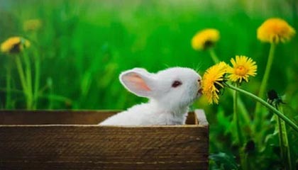 每周股票复盘：均瑶集团质押3.89%爱建集团（600643）股份