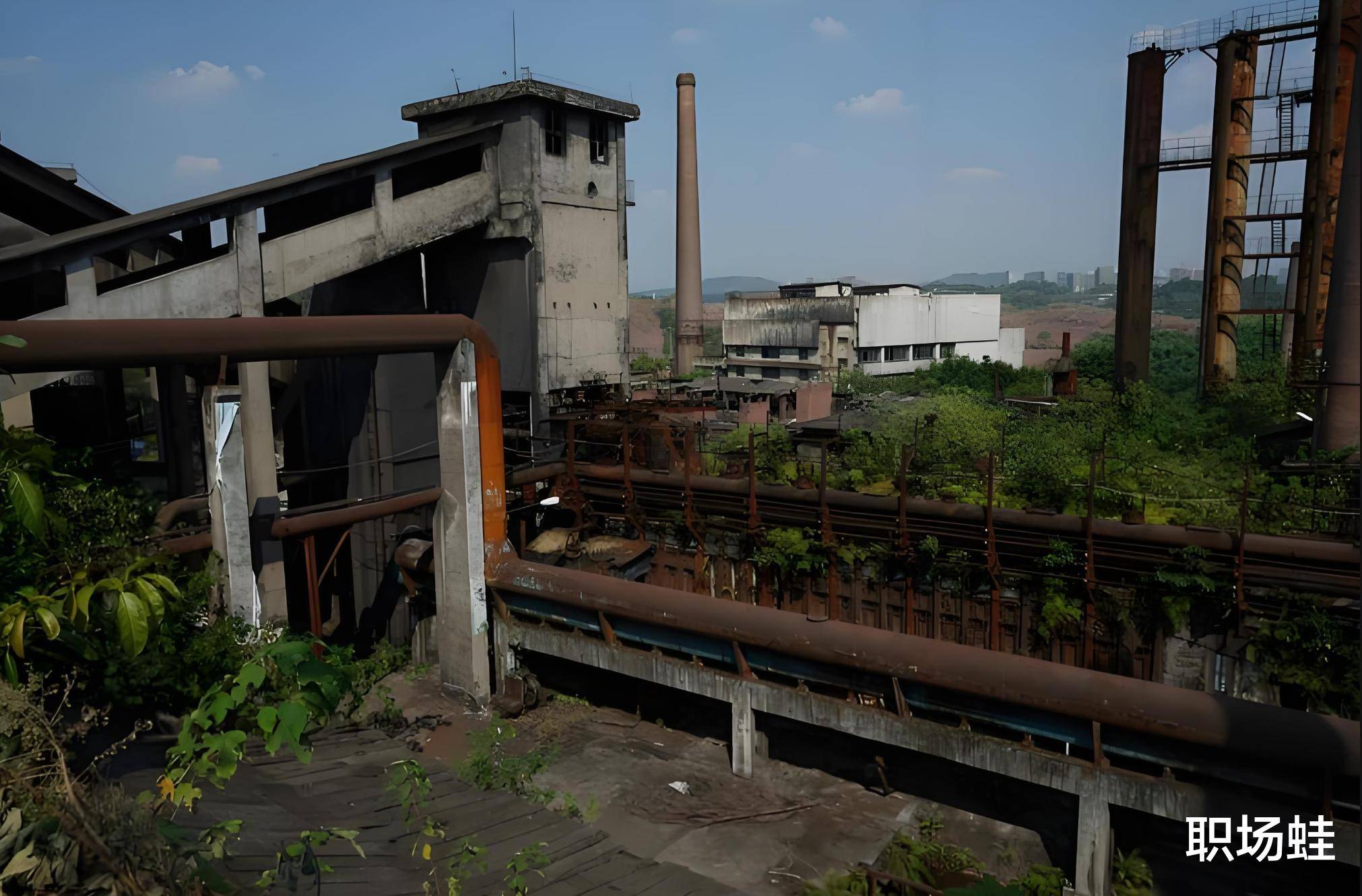 2024的最新求职骗局