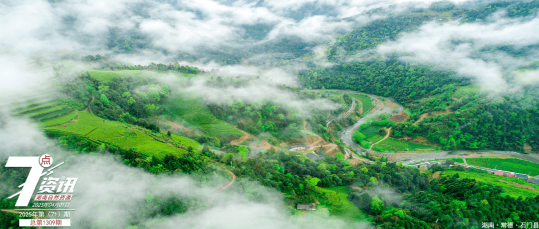 【4月1日】湖南自然资源7点资讯