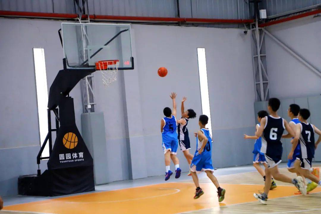 【资讯】精彩“篮”不住,2025年麻涌镇小学生篮球比赛男子组圆满落幕