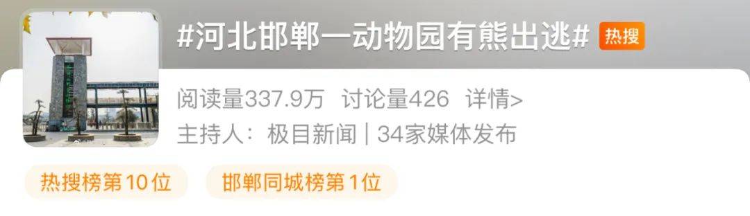 河北一动物园有熊出逃？官方通报：搜寻工作正在进行中