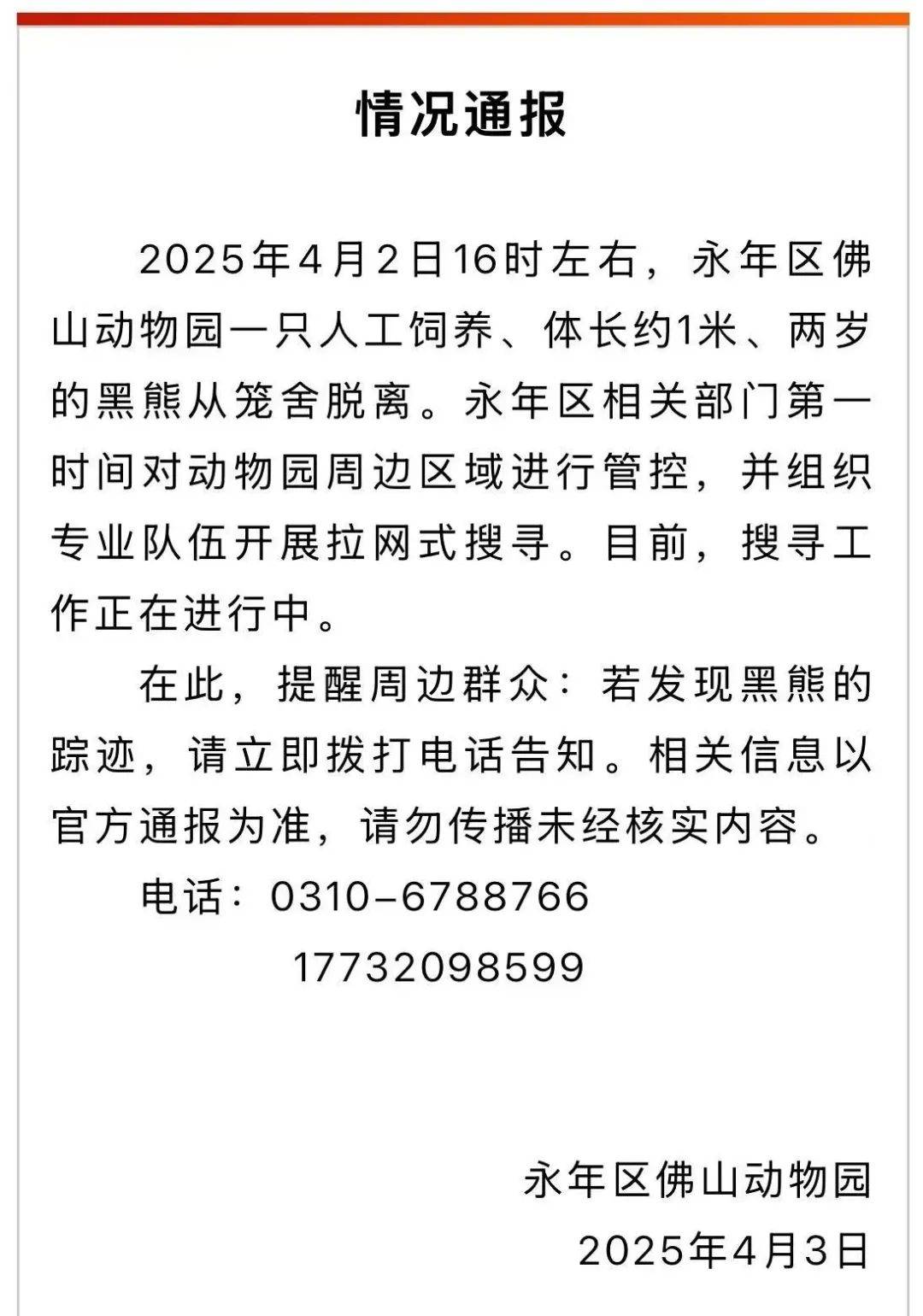 河北一动物园有熊出逃？官方通报：搜寻工作正在进行中