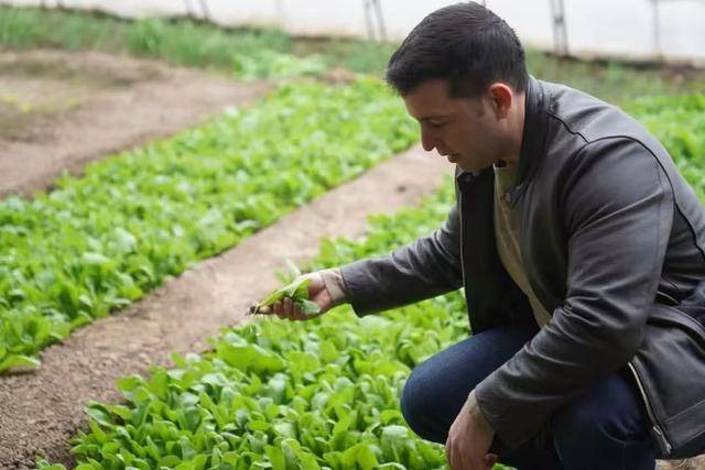 资讯有故事丨澳大利亚友人熊凯:我在天津当农民