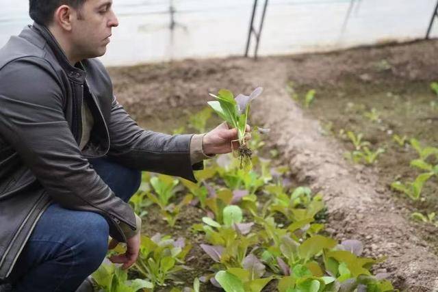 资讯有故事丨澳大利亚友人熊凯:我在天津当农民