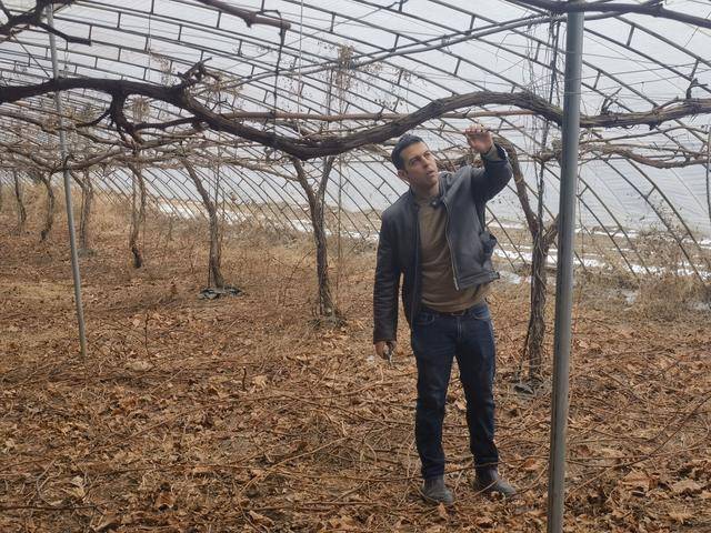 资讯有故事丨澳大利亚友人熊凯:我在天津当农民