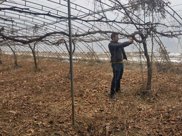 资讯有故事丨澳大利亚友人熊凯:我在天津当农民