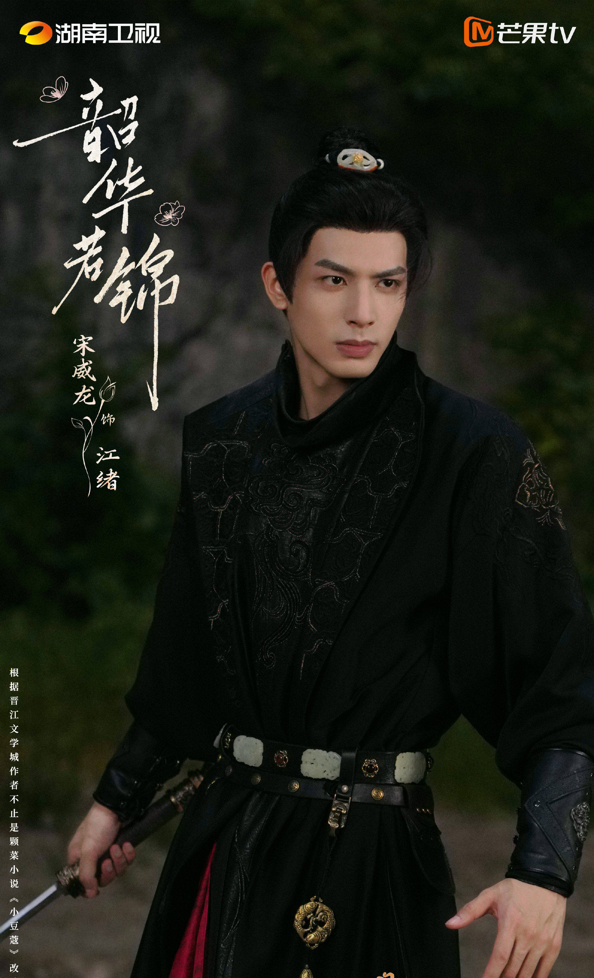 《韶华若锦》定档湖南卫视，宋威龙包上恩主演，也是古装过家家