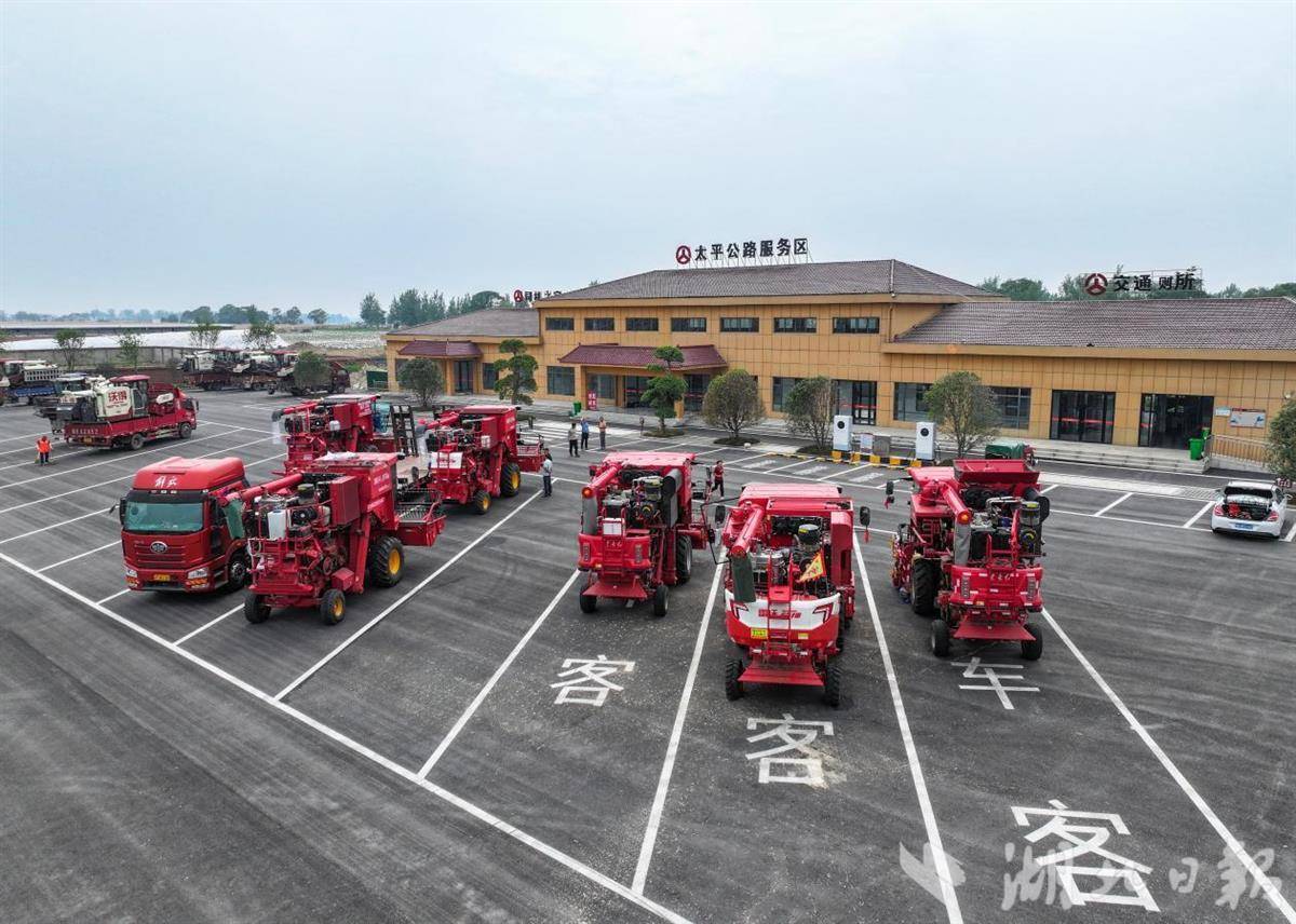 湖北交通护航麦收 收费站平均通行时间缩短六成