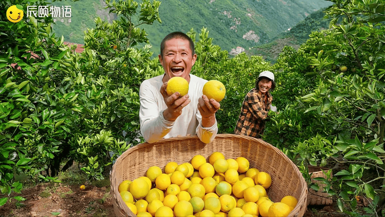 资讯|AI合伙人，信任链经济的创新启航