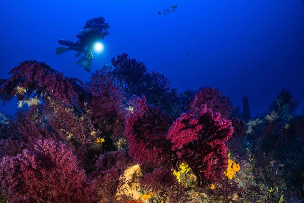 气候资讯｜6月全球前沿气候科学研究&amp;极端天气气候事件