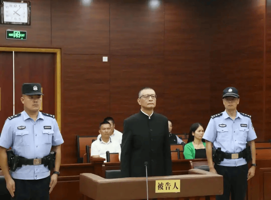 柳州市委书记:违建轻轨透支人民信任,败坏党风政风,教训极其深刻