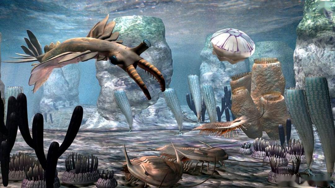 寒武纪，寒武帝