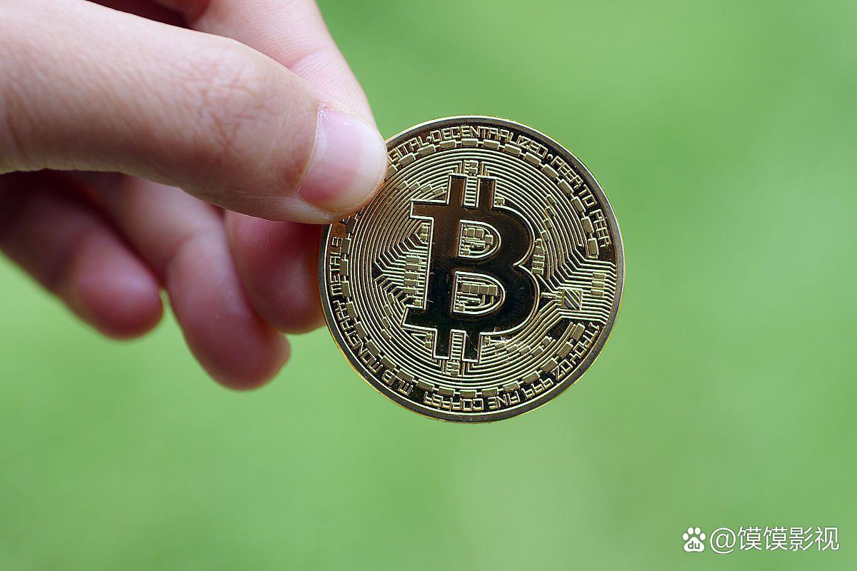 投资虚拟币(投资虚拟币合法吗)